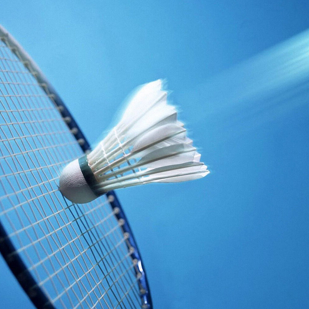 foto badminton 2